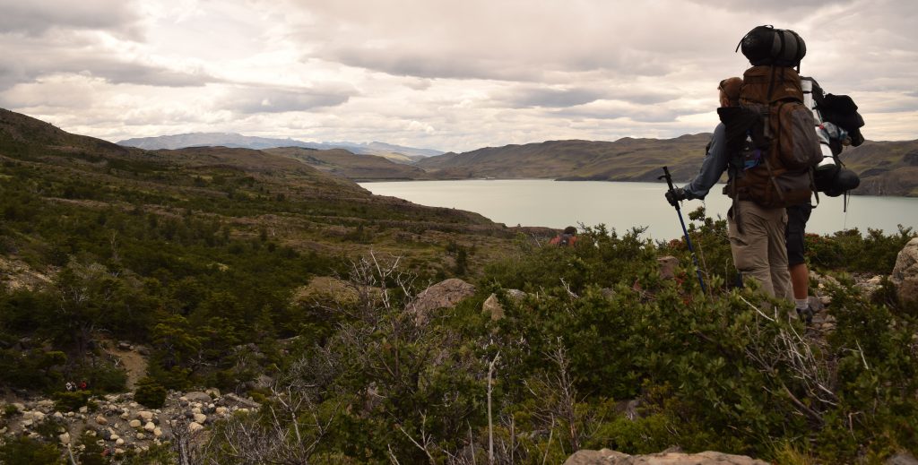 Nordic Walking  Stöcke