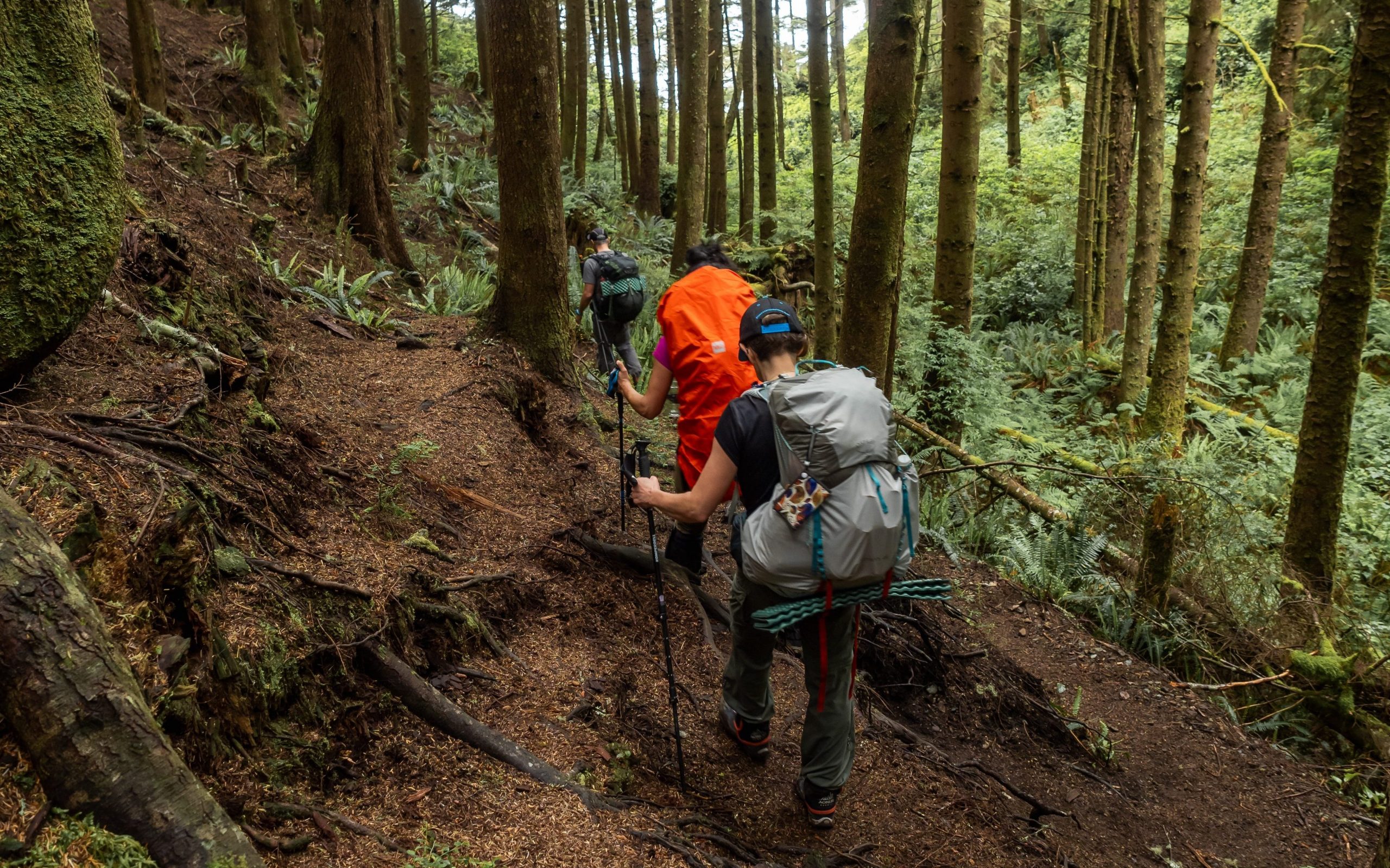 Die besten Wanderstöcke