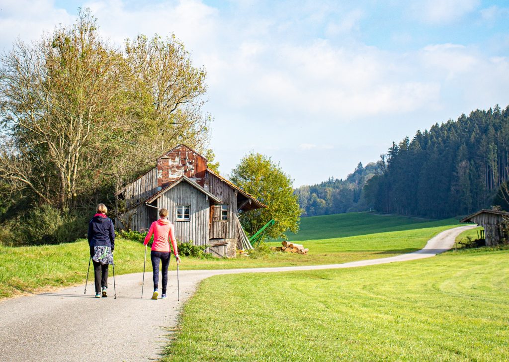 Femmes pratiquant la marche nordique en nature équipées de batons de marche nordique et de chaussures. 