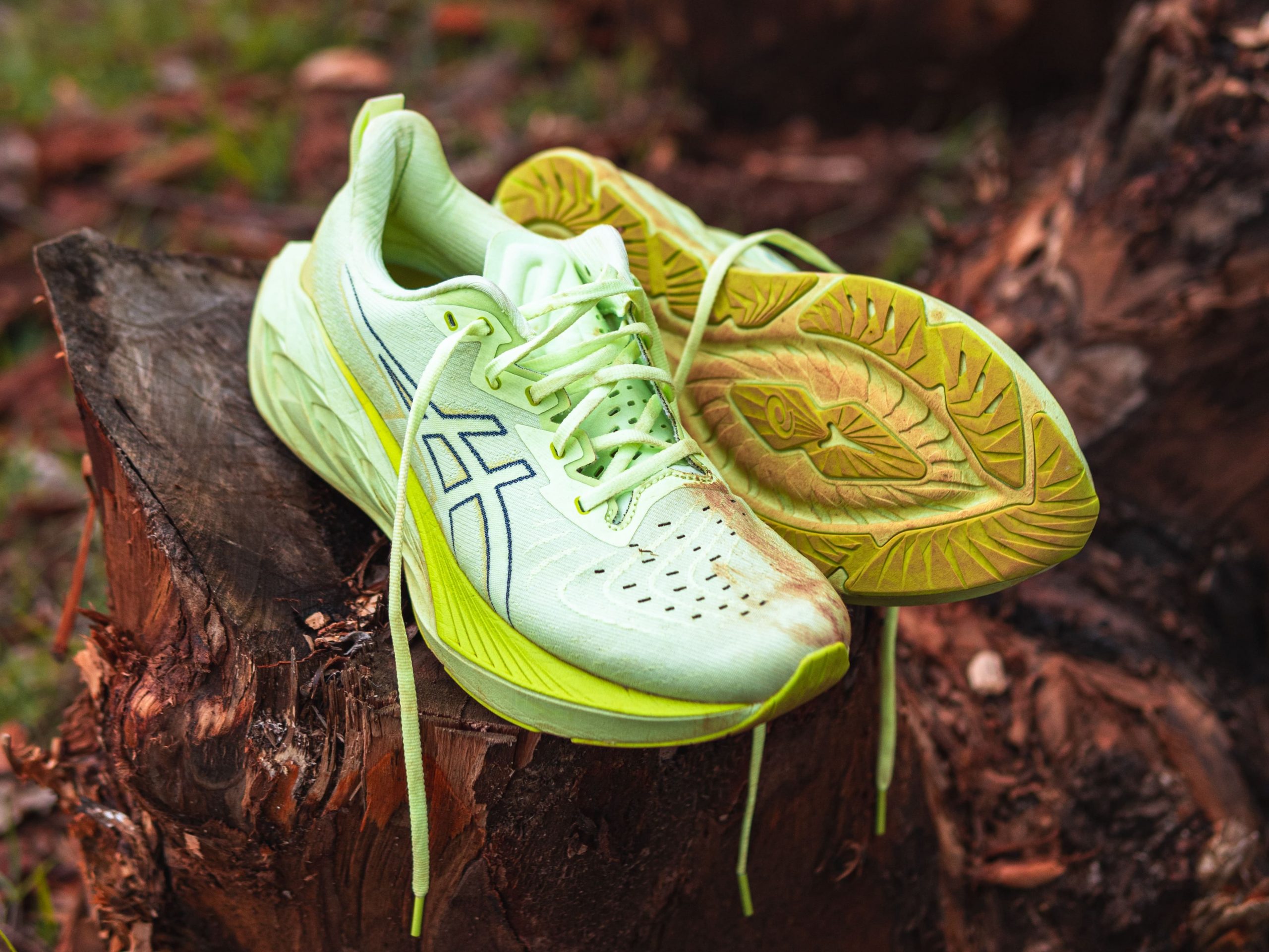 Asics Novablast 4 sur un tronc après leur test au Kenya